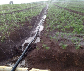 深圳灌溉微喷带